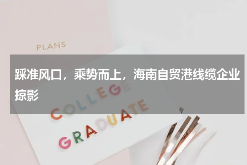 踩准风口，乘势而上，海南自贸港线缆企业掠影