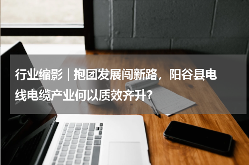 行业缩影 | 抱团发展闯新路，阳谷县电线电缆产业何以质效齐升？