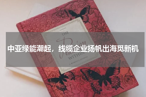 中亚绿能潮起，线缆企业扬帆出海觅新机