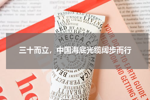 三十而立，中国海底光缆阔步而行
