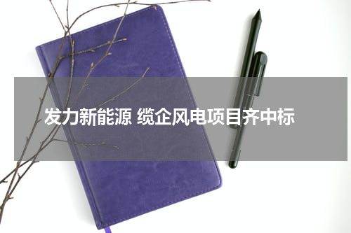 发力新能源 缆企风电项目齐中标