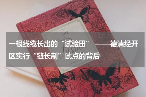 一根线缆长出的“试验田” ——德清经开区实行“链长制”试点的背后