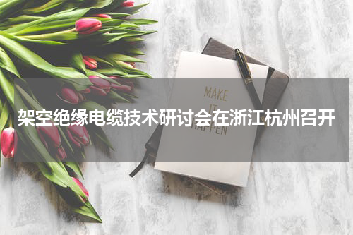 架空绝缘电缆技术研讨会在浙江杭州召开