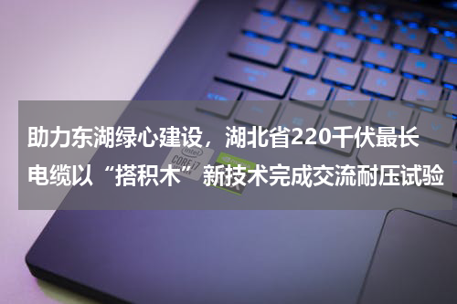 助力东湖绿心建设，湖北省220千伏最长电缆以“搭积木”新技术完成交流耐压试验
