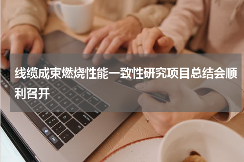 线缆成束燃烧性能一致性研究项目总结会顺利召开